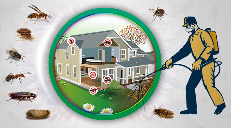 Körfez Böcek İlaçlama