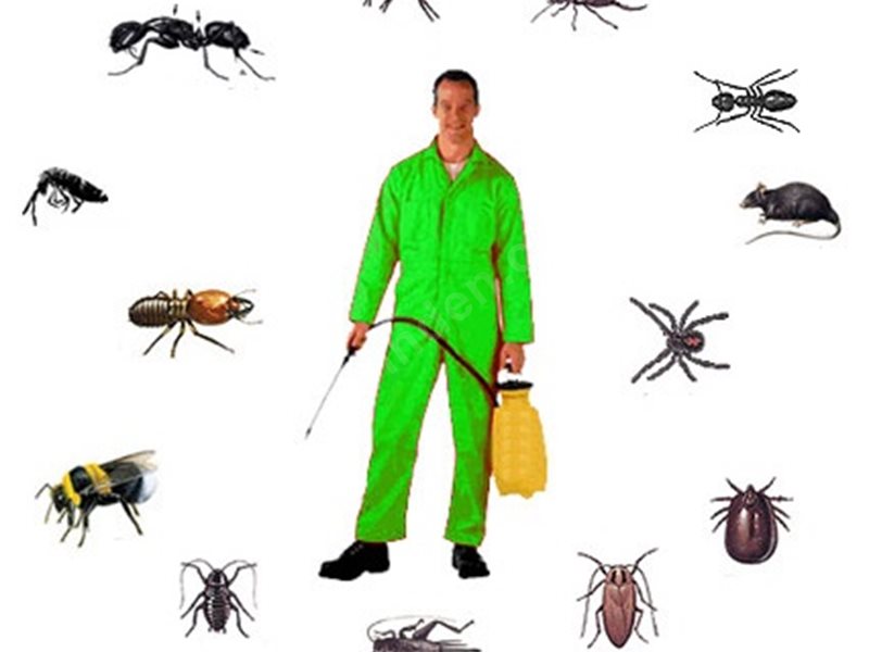 Körfez Böcek İlaçlama